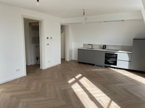 House Image 3