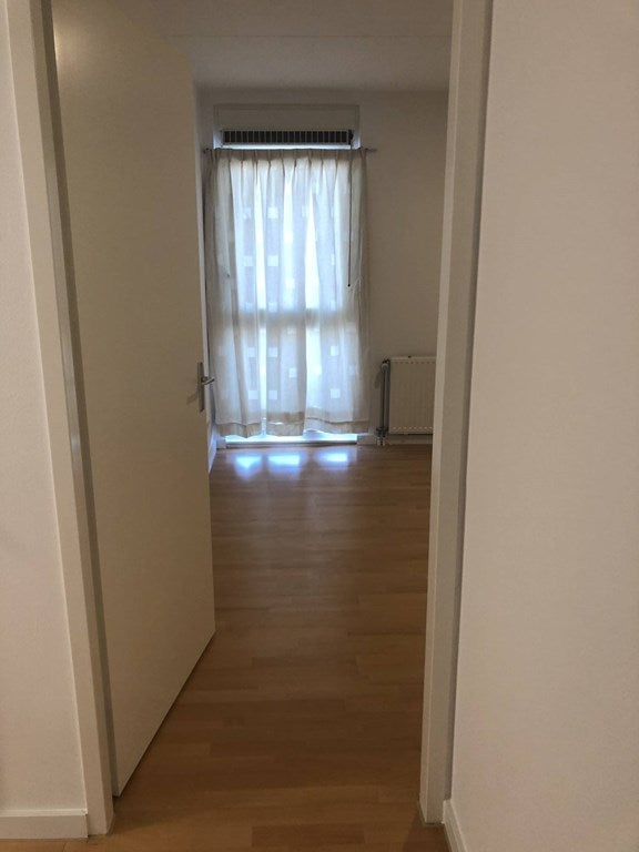 House Image 3