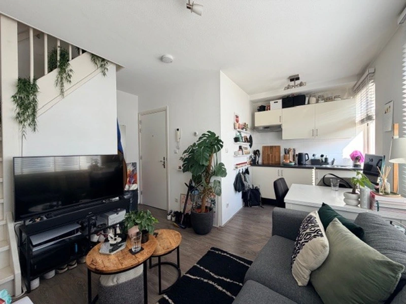 House Image 2