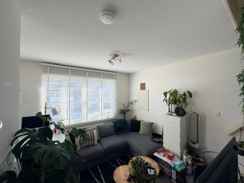 House Image 3