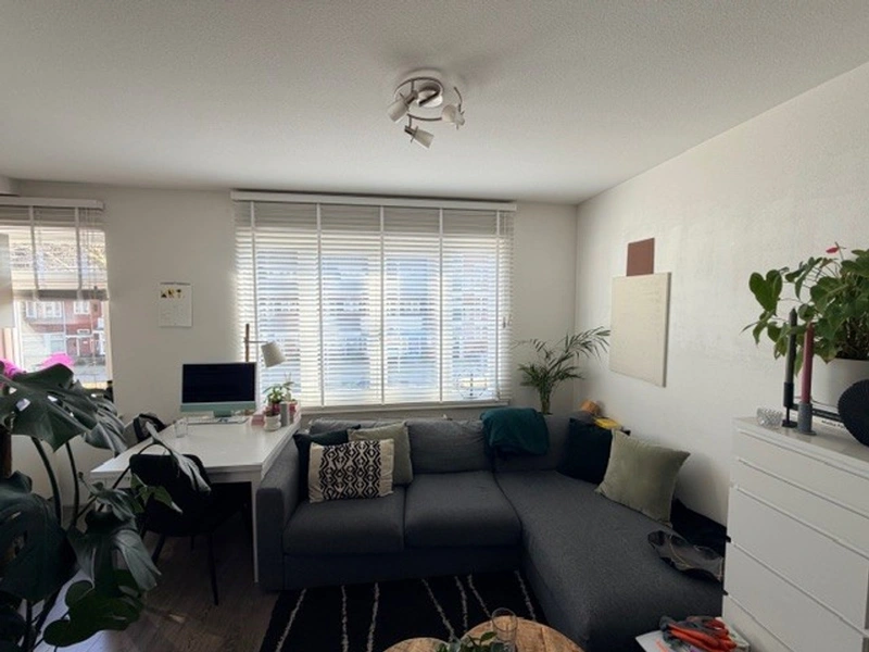 House Image 4