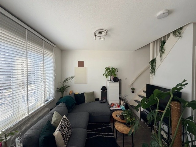 House Image 5