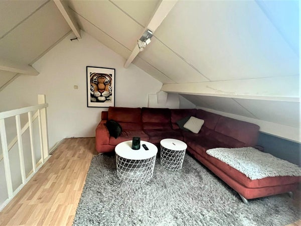 House Image 4