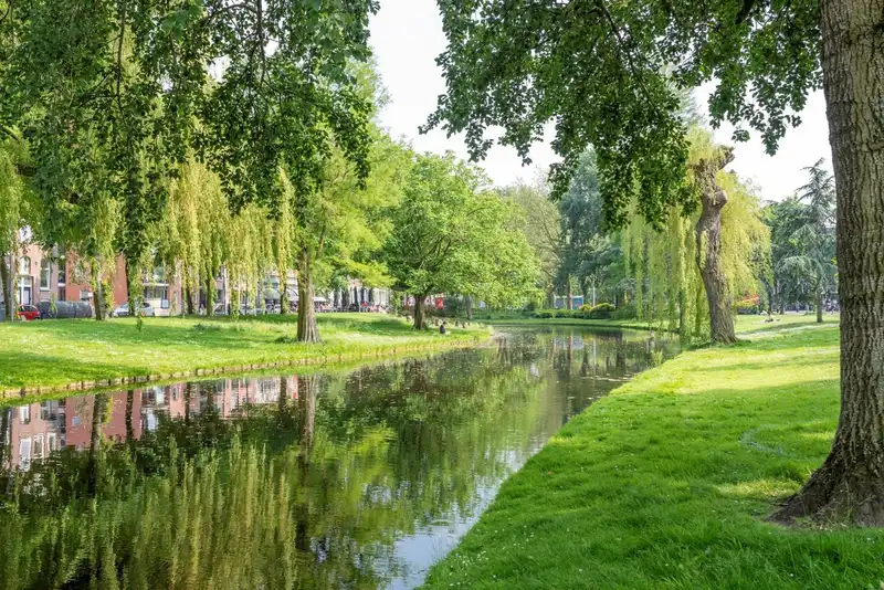 House Exterior