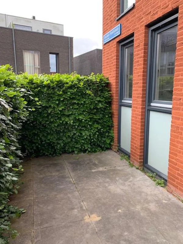 House Image 3