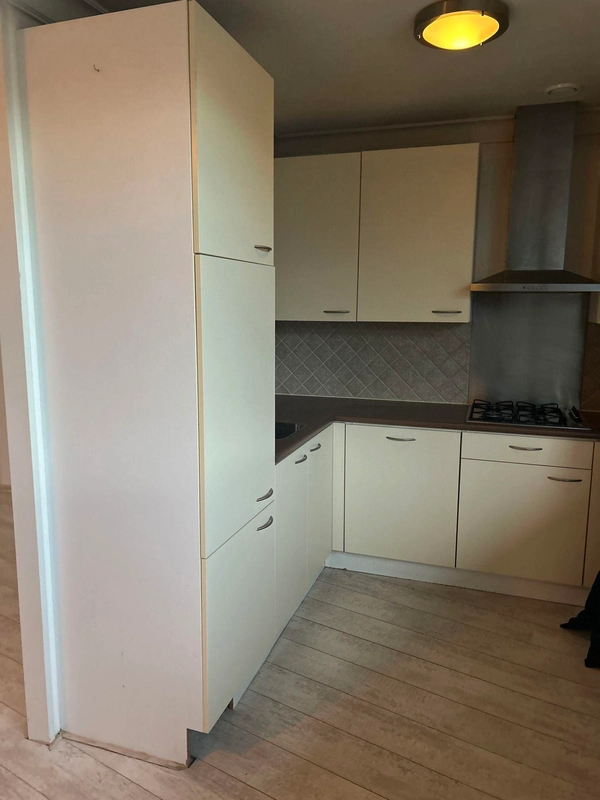 House Image 5