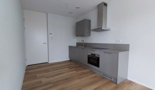 House Image 3