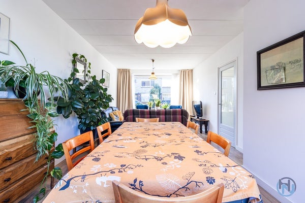 House Image 3