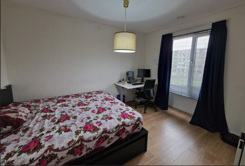 House Image 5