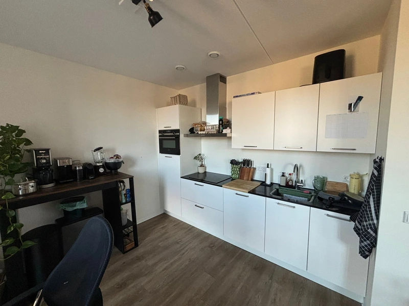 House Image 4