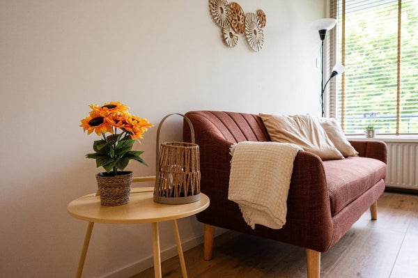 House Image 4