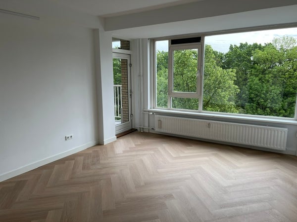 House Image 3