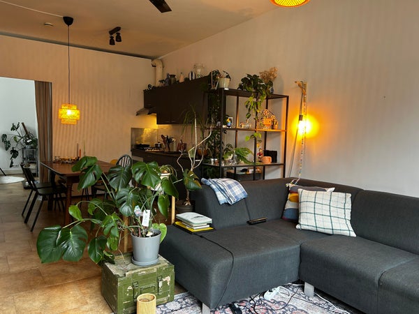 House Image 3