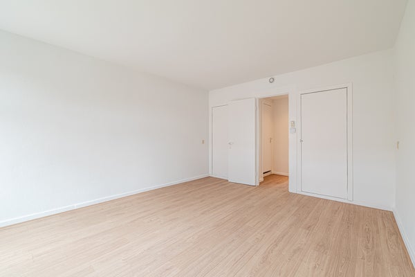 House Image 4
