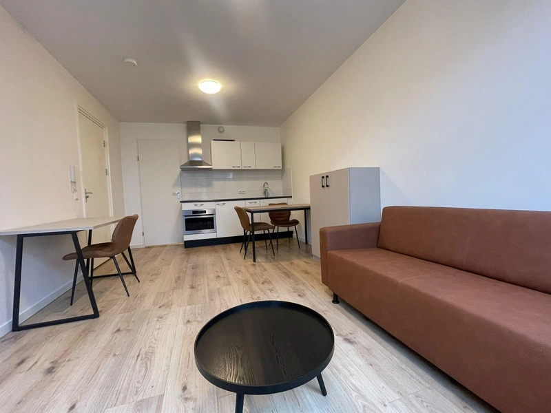 House Image 5