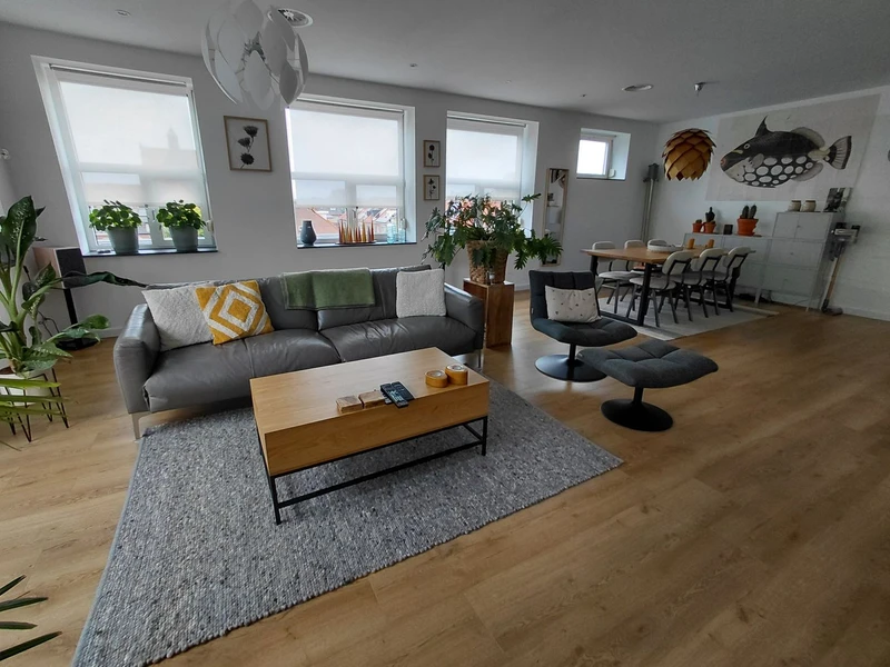 House Image 3