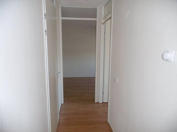 House Image 5