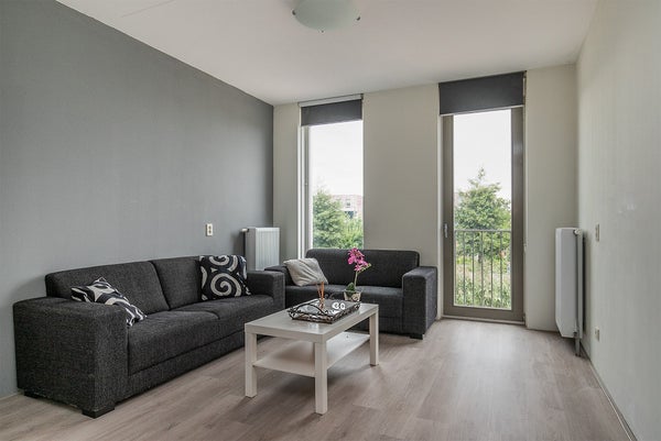 House Image 3
