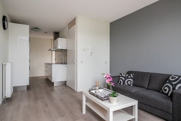 House Image 4
