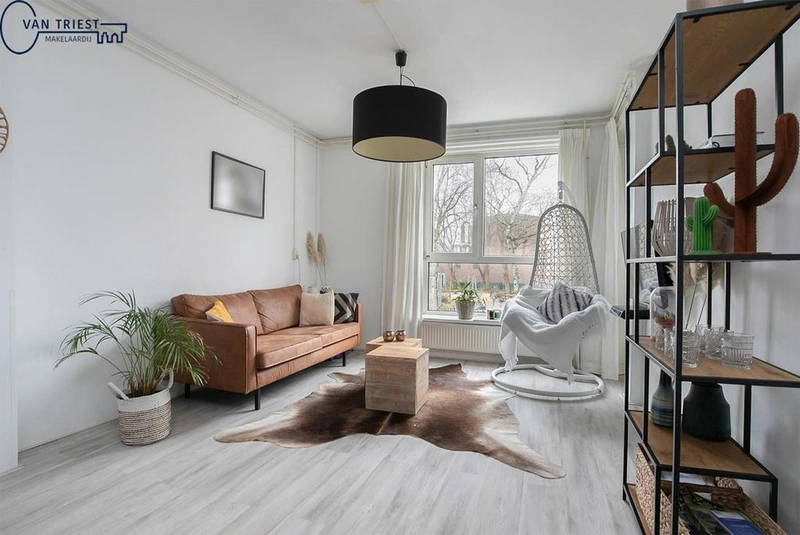 House Image 3