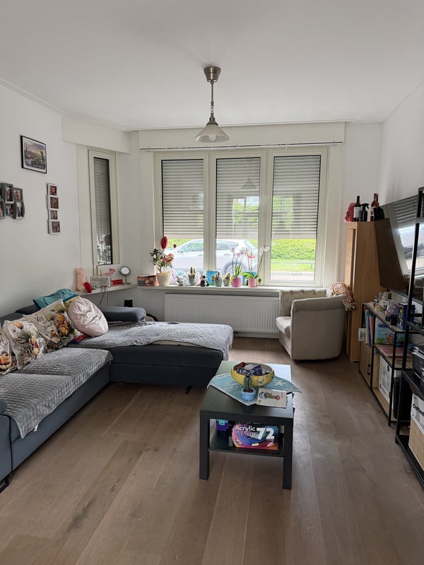House Image 4