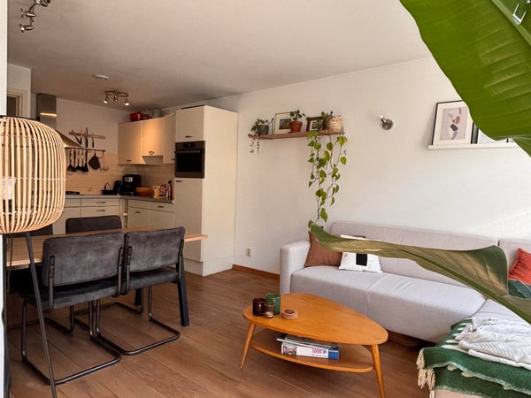 House Image 3
