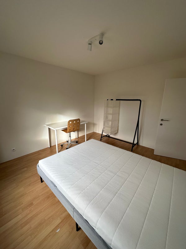 House Image 4
