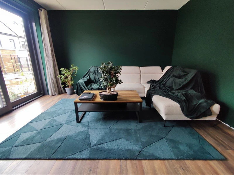 House Image 4