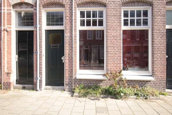 House Exterior
