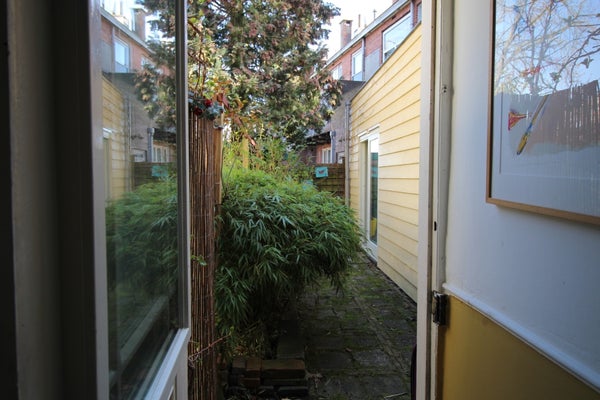 House Exterior