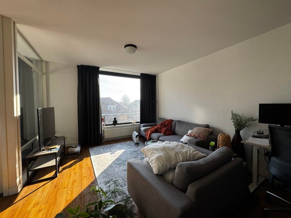 House Image 3