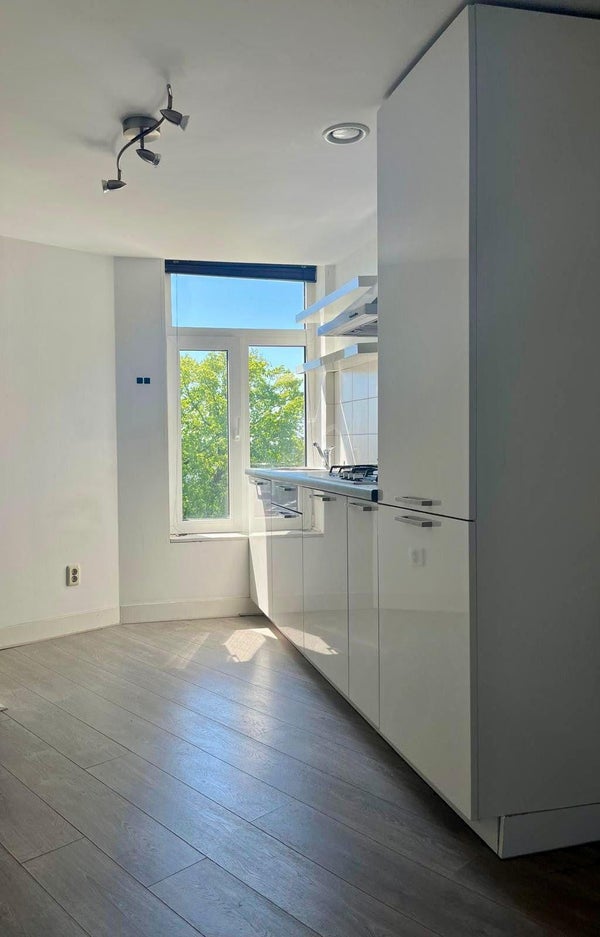 House Image 4