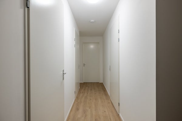 House Image 5