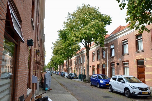 House Exterior