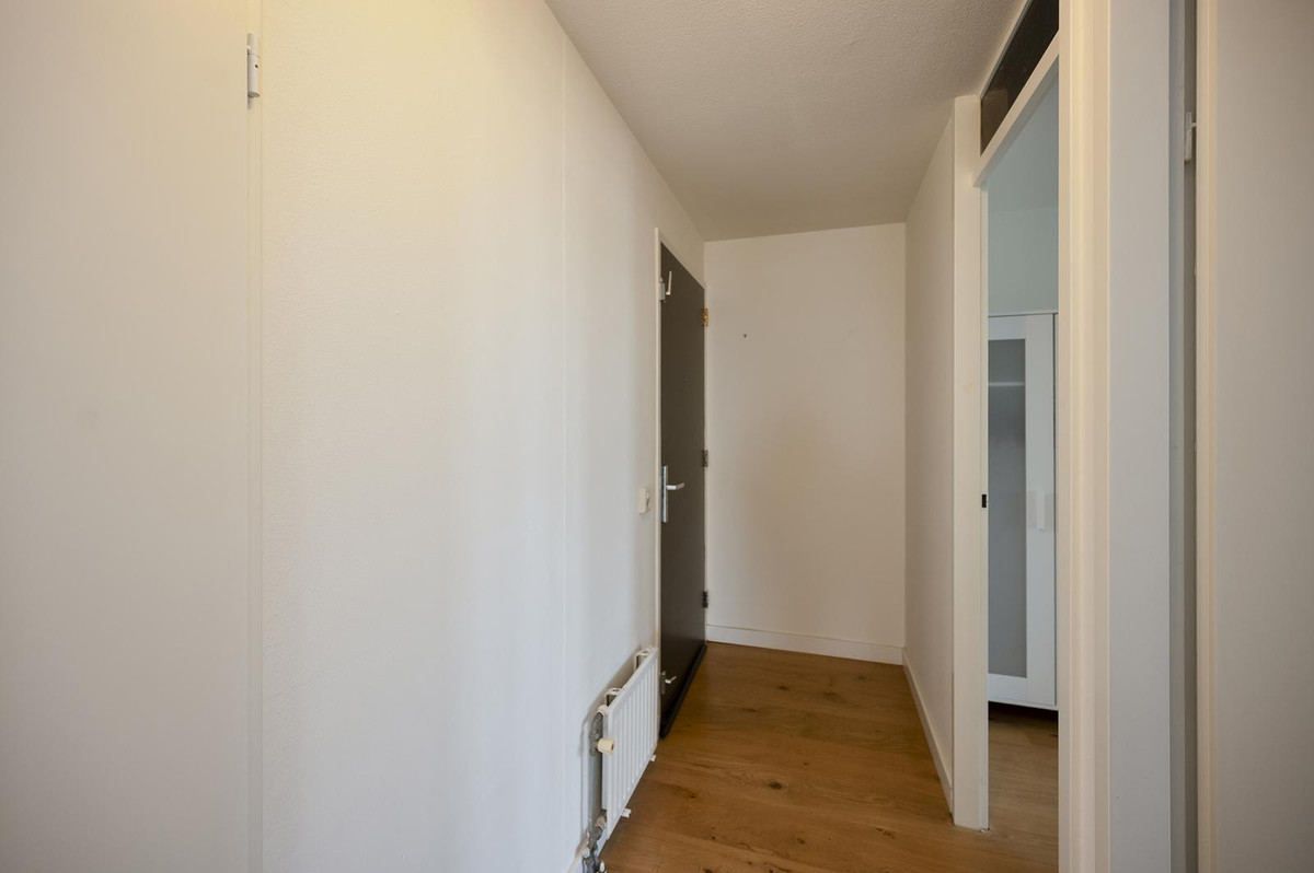House Image 4
