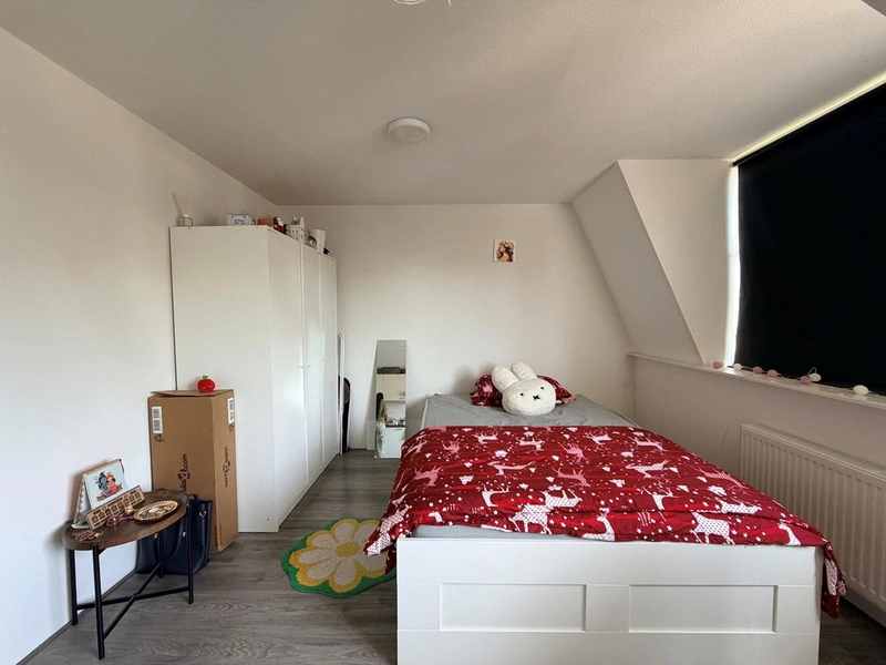House Image 5