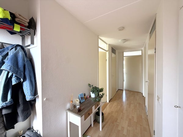 House Image 4