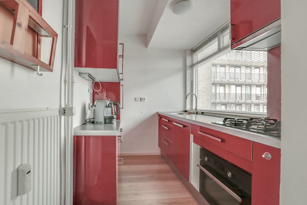 House Image 4