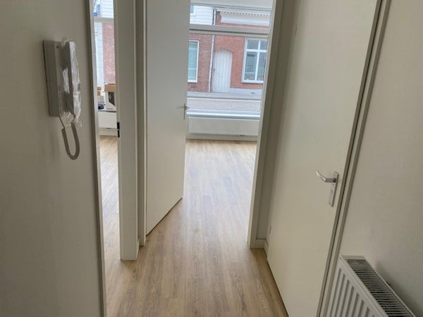 House Image 4