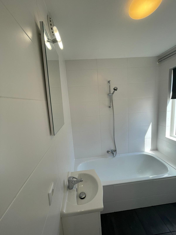 House Image 4