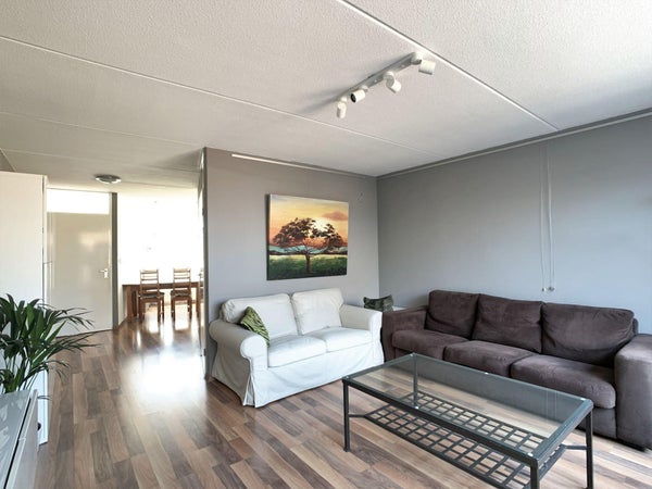 House Image 3
