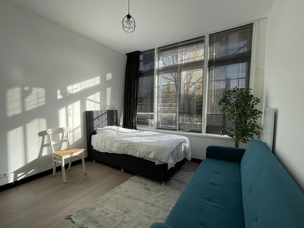 House Image 5
