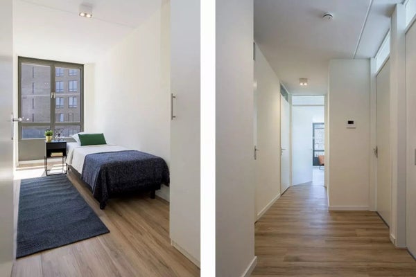 House Image 5