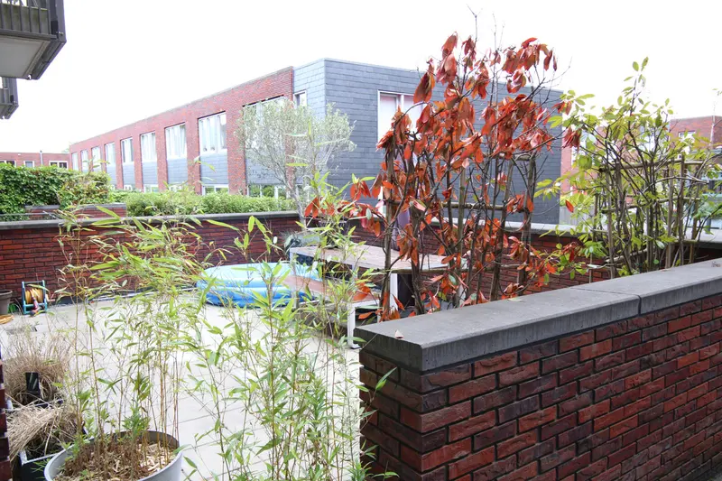 House Image 4