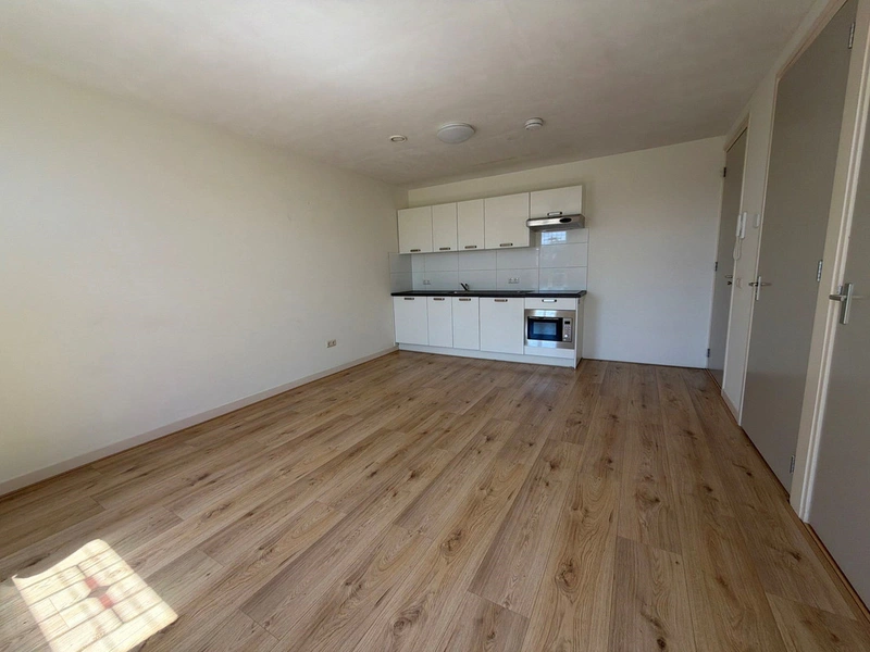 House Image 4