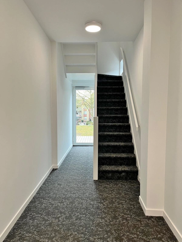 House Image 3