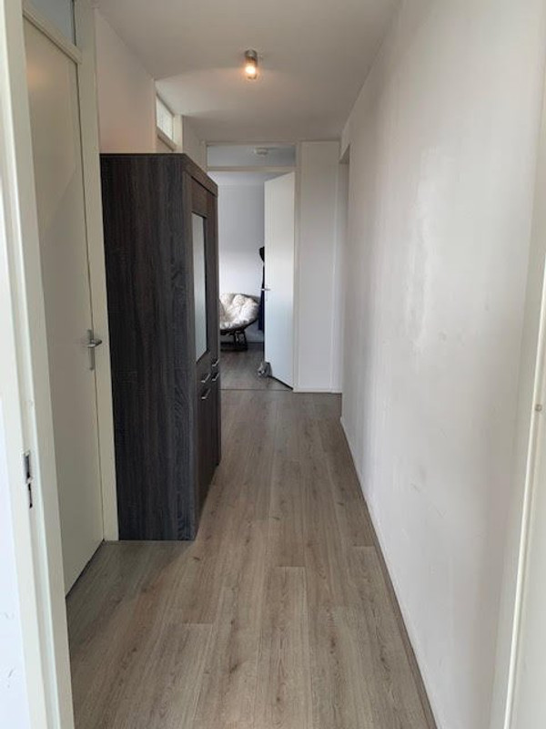 House Image 2