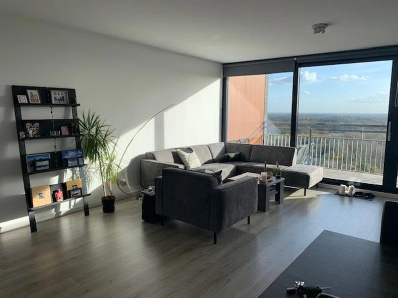 House Image 4