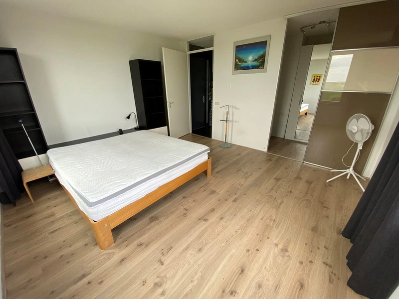 House Image 4