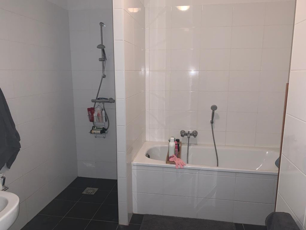 House Image 5